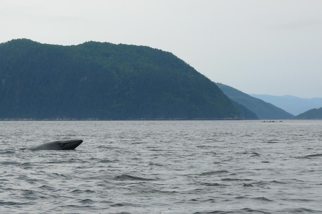 Vila Riviere Petit Saguenay Exteriér fotografie